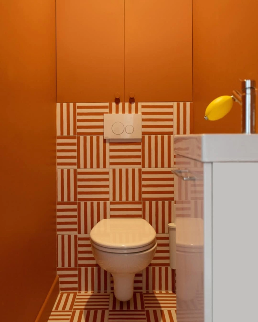 une photo de toilette réalisé a Lyon